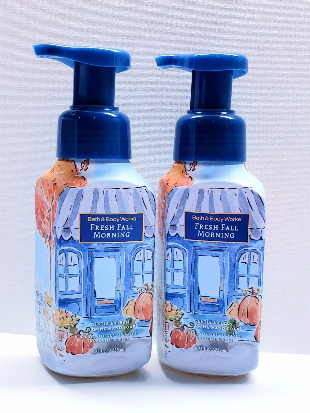 Bath & Body Works FRESH FALL MORNING Gentle & Clean Foaming Hand Soap (2 Pcs)